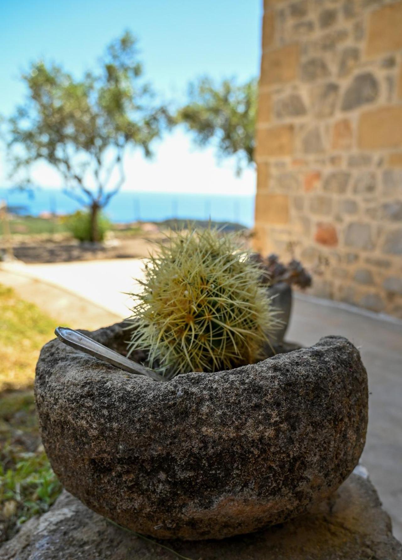 Athina'S Stone House In Kardamyli Villa Buitenkant foto