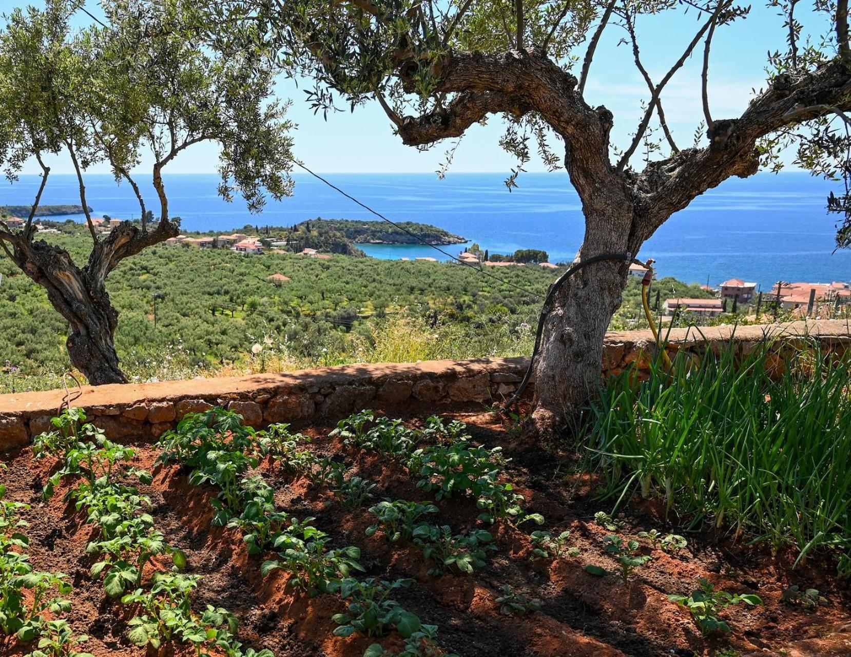 Athina'S Stone House In Kardamyli Villa Buitenkant foto