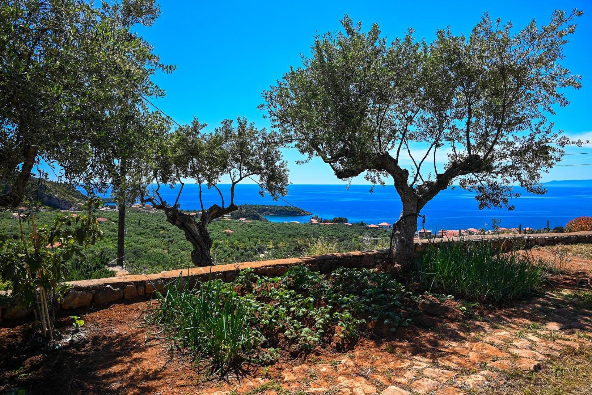 Athina'S Stone House In Kardamyli Villa Buitenkant foto