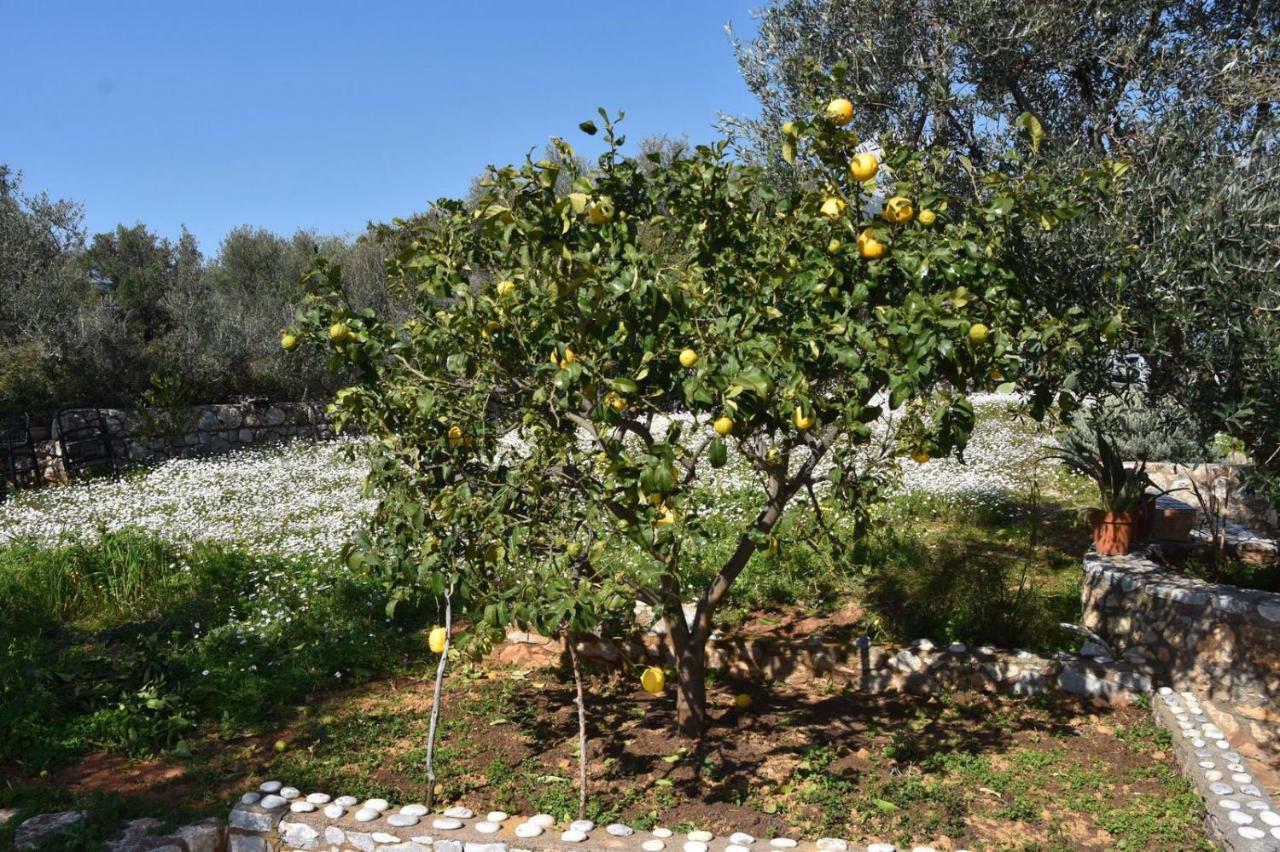 Athina'S Stone House In Kardamyli Villa Buitenkant foto